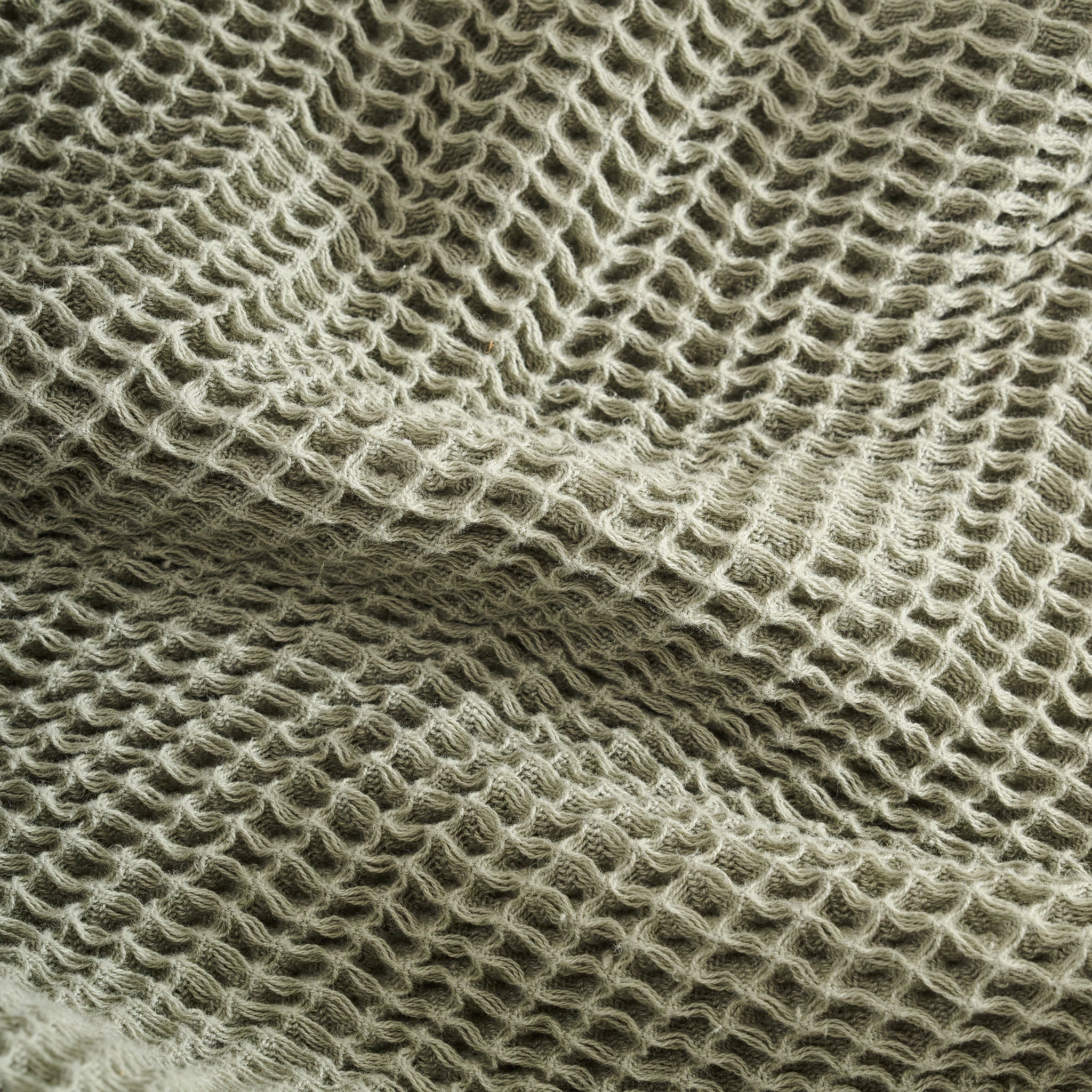 Sea Sponge |  Cotton | Waffle | Throw