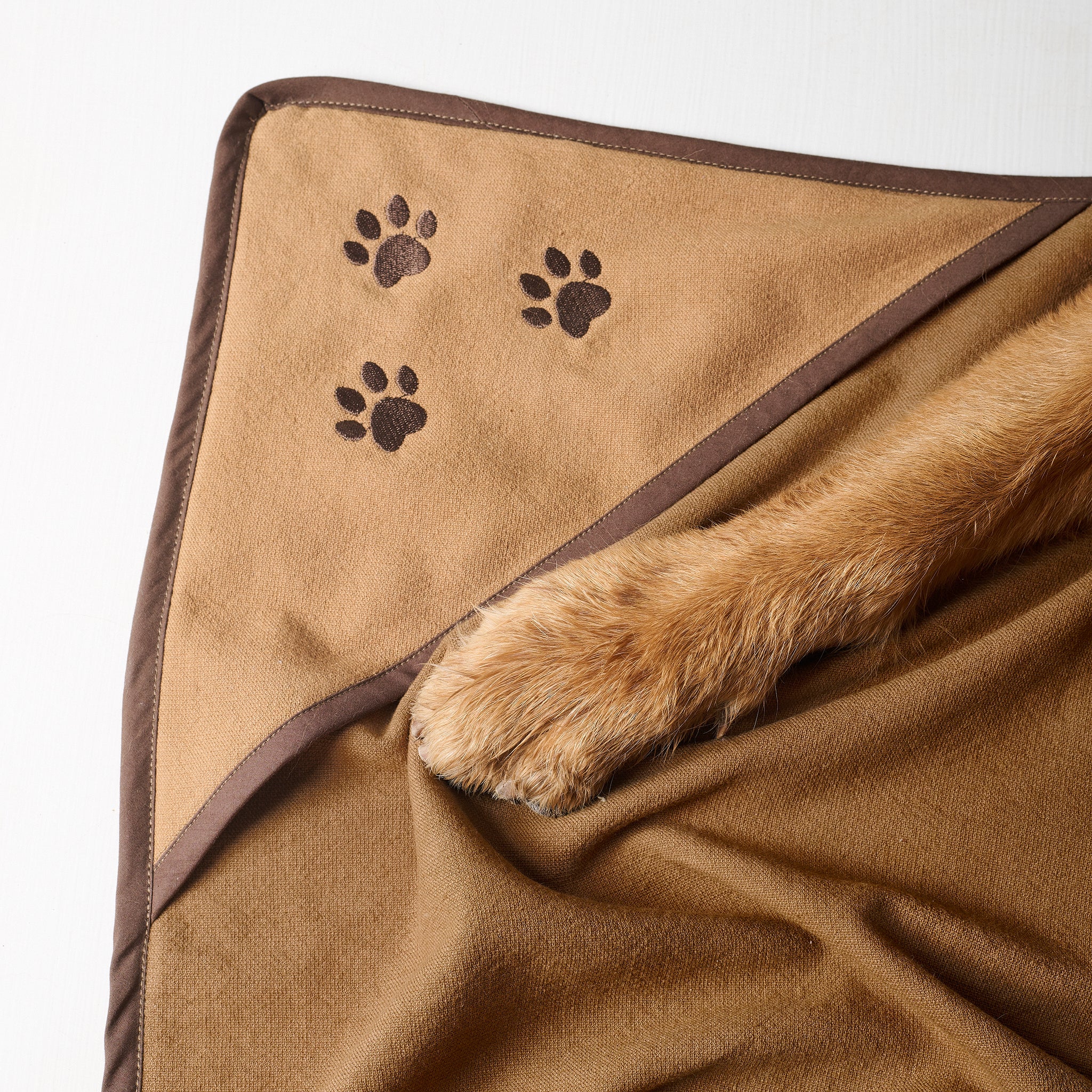 Toffee Paws | Cotton | Pet Towel