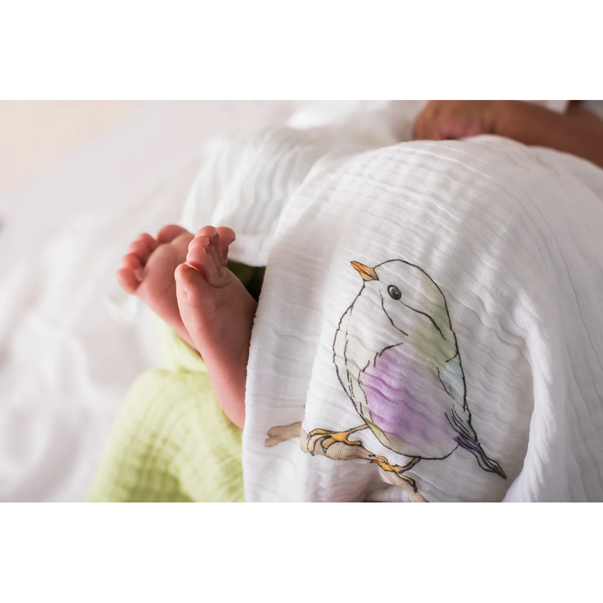 Little Bird | Cotton Gauze | Towel